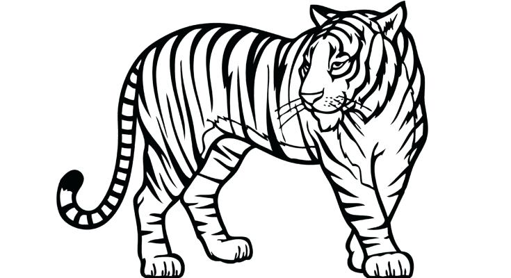 Jungle Animals Coloring Pages Free Printable Jungle Coloring Pages 735x400 Jungle Animals Coloring Pages Free Printable Jungle Coloring Pages