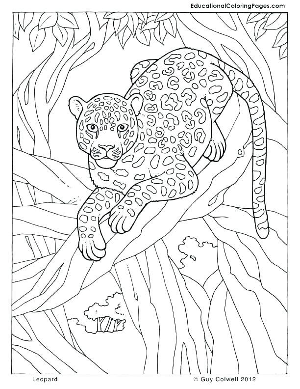 Free Printable Jungle Animal Coloring Pages at GetColorings.com | Free ...