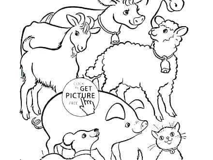 Jungle Animals Coloring Pages Plus Jungle Animals Coloring Page 440x330 Jungle Animals Coloring Pages Plus Jungle Animals Coloring Page