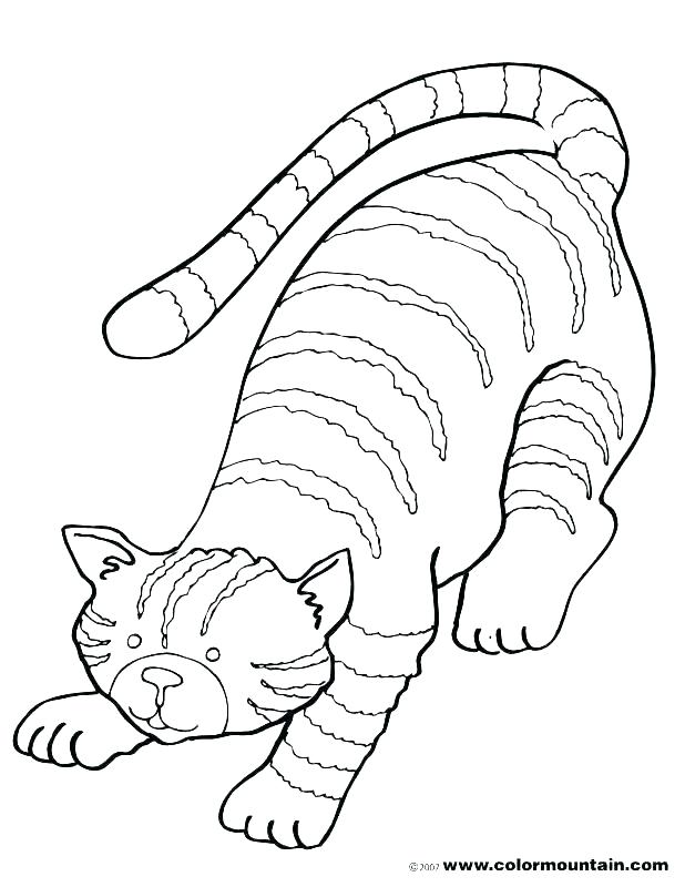 Free Kitten Coloring Pages Free Kitten Coloring Pages Kitten 618x800 Free Kitten Coloring Pages Free Kitten Coloring Pages Kitten