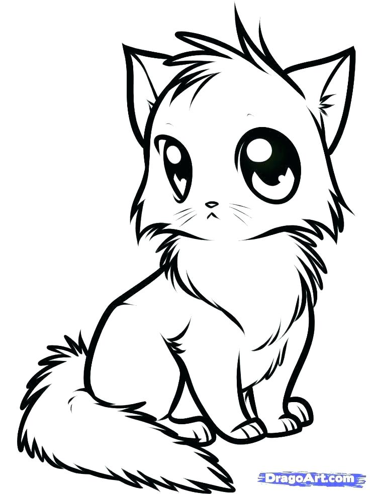 Printable Kitten Coloring Pages New Kitten Coloring E Crayola 736x984 Printable Kitten Coloring Pages New Kitten Coloring E Crayola