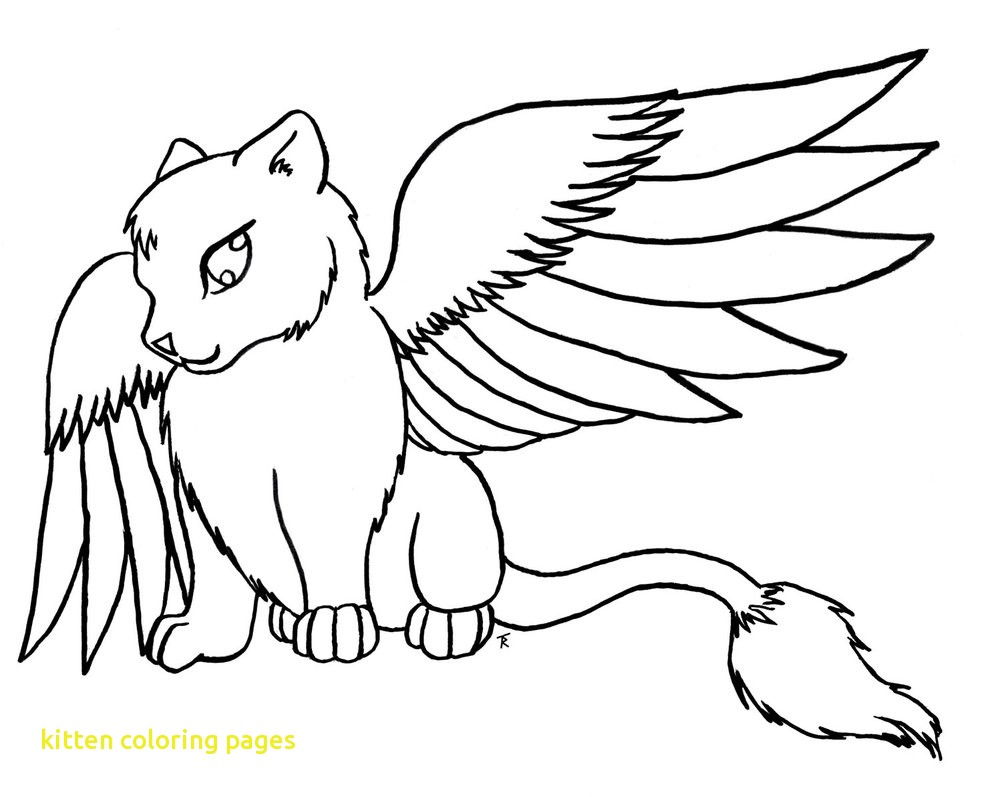 Sizable Kitten Coloring Sheet Free Printable Pages For Kids Best 1002x797 Sizable Kitten Coloring Sheet Free Printable Pages For Kids Best