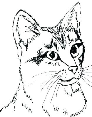 Kitten Coloring Sheets 313x395 Kitten Coloring Sheets