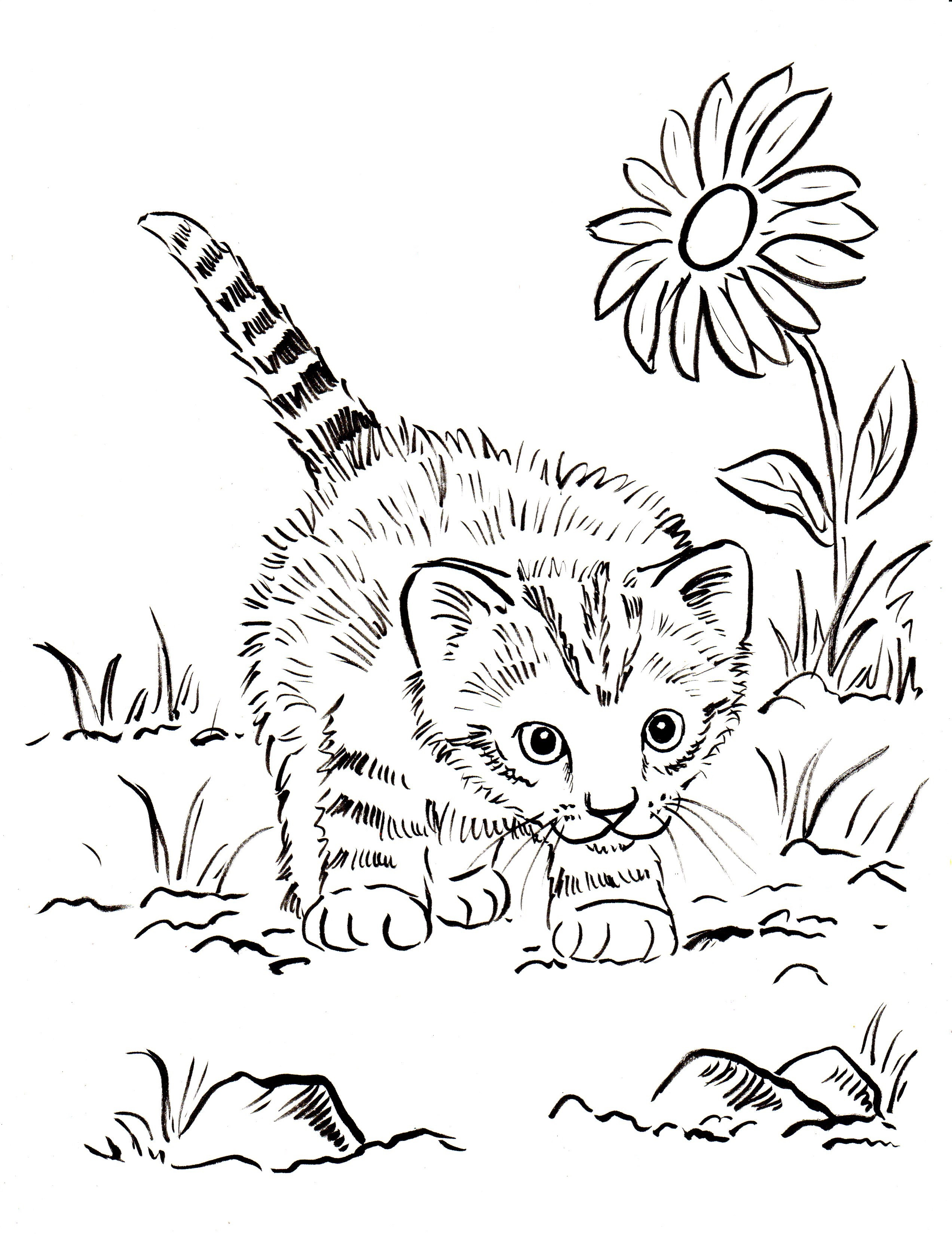 Cute Kitten Coloring Page Free Printable Pages Arresting 2545x3300 Cute Kitten Coloring Page Free Printable Pages Arresting