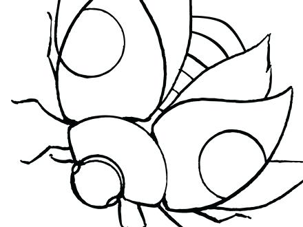 440x330 Ladybug Coloring Book Together With Printable Ladybug Coloring