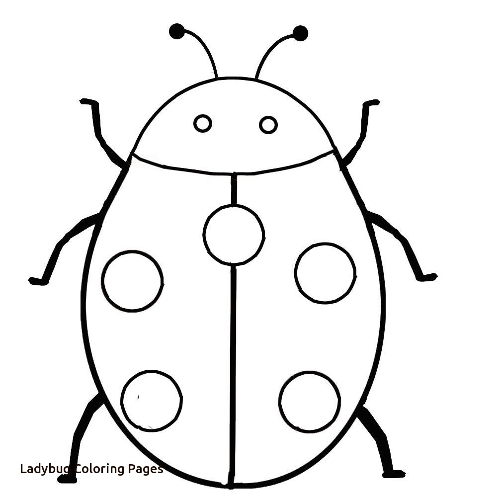 1000x1000 Printable Ladybug Coloring Pages With Ladybug Coloring Pages