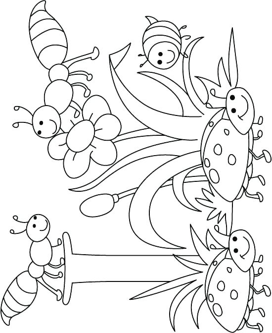 550x672 Bug Coloring Page Free Printable Insect Coloring Pages I