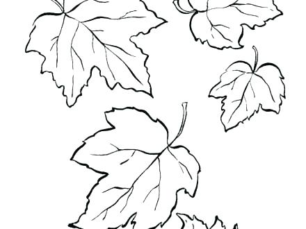 440x330 Fall Tree Coloring Pages Plus Leaves Coloring Pages Fall Tree