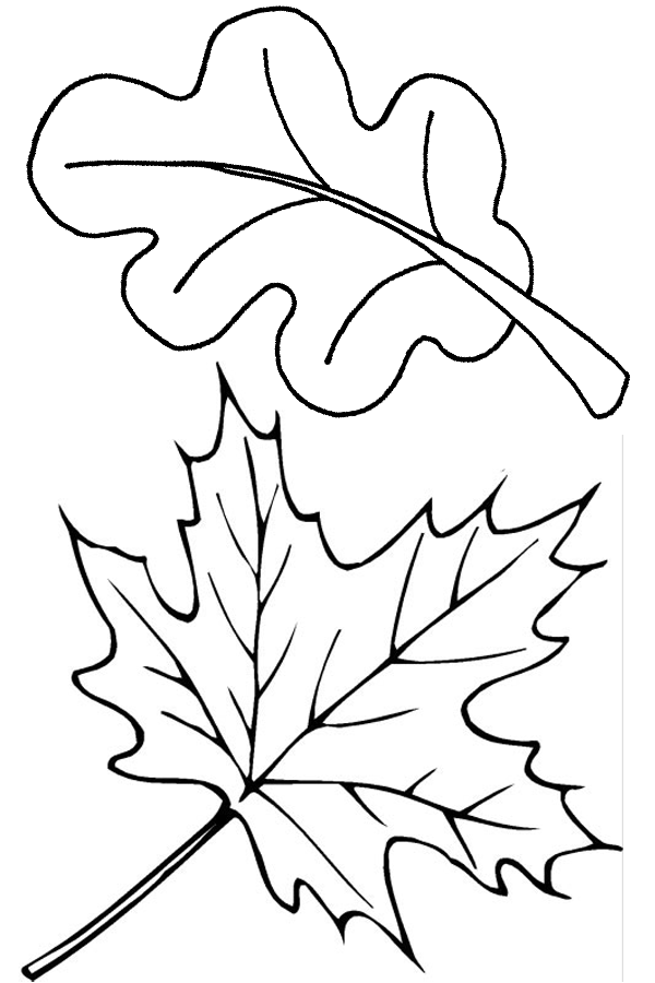 600x900 Autumn Coloring Pages To Keep The Kids Busy On A Rainy Fall Day