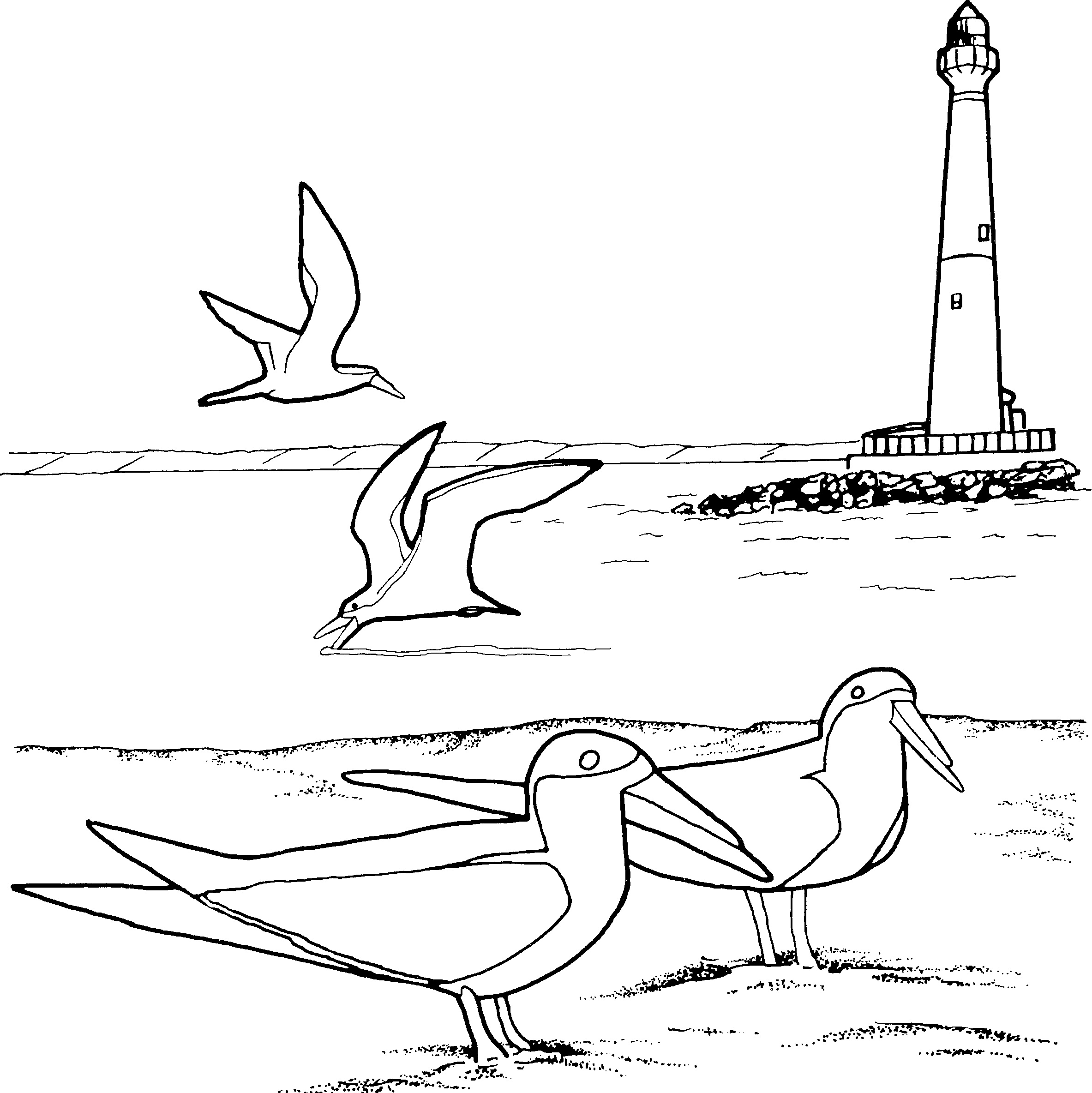 Free Printable Lighthouse Coloring Pages For Kids 2366x2368 Free Printable Lighthouse Coloring Pages For Kids
