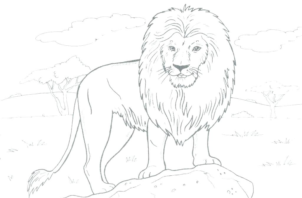 Free Printable Lion Coloring Pages Free Printable Lion Coloring 1024x672 Free Printable Lion Coloring Pages Free Printable Lion Coloring