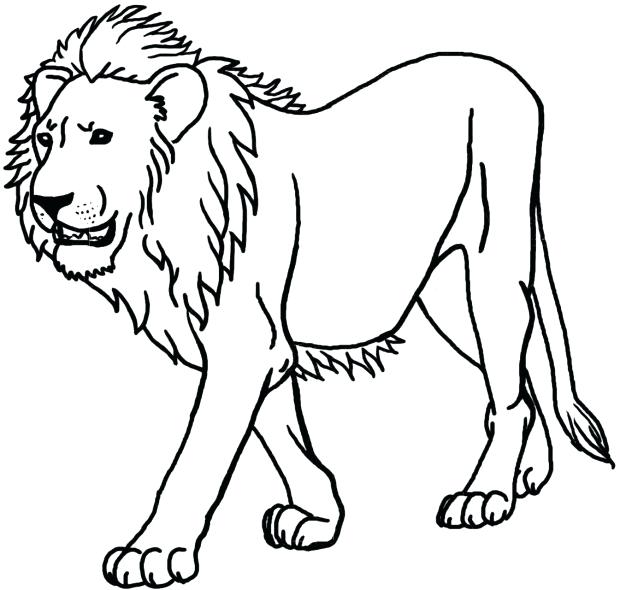 Free Printable Lion Coloring Pages Lion Coloring Pages Printable 620x590 Free Printable Lion Coloring Pages Lion Coloring Pages Printable