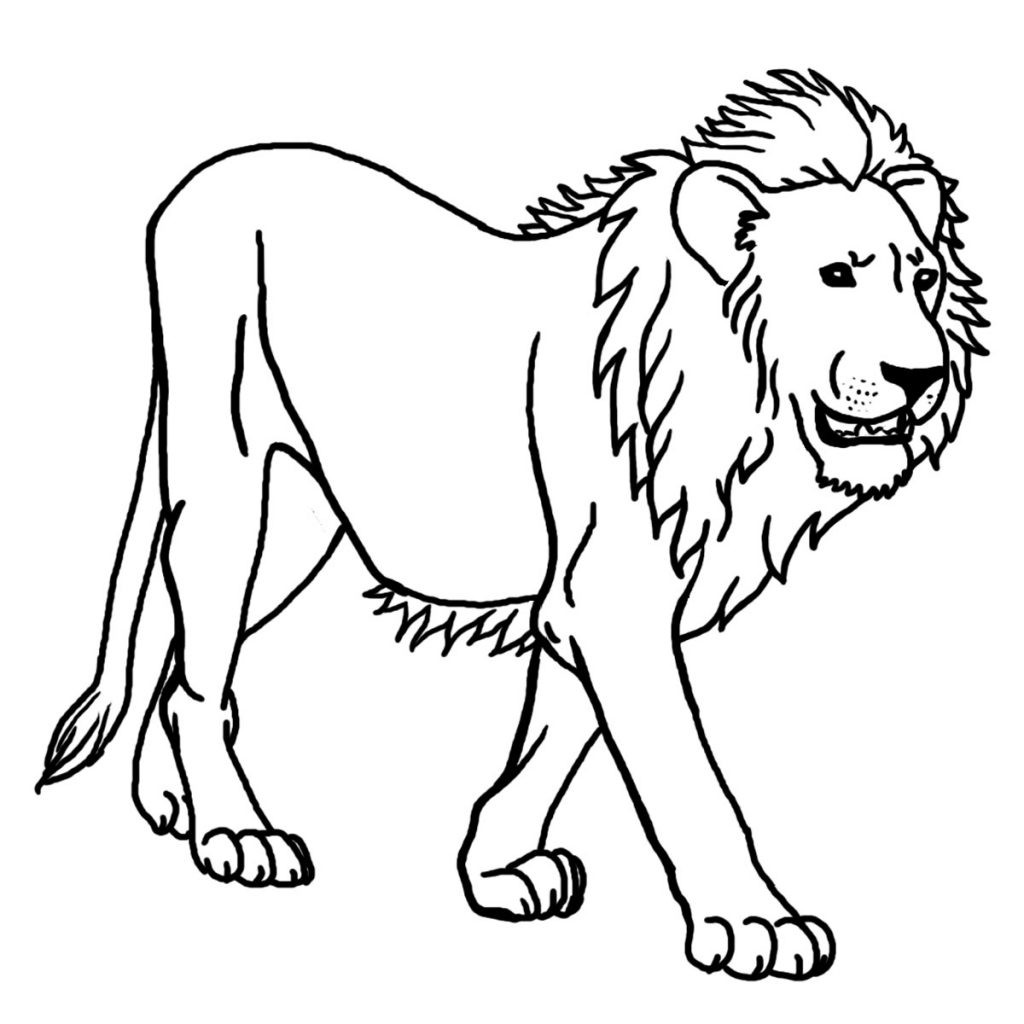 Lion Pictures Coloring Pages New Lion Coloring Pages Free 1024x1024 Lion Pictures Coloring Pages New Lion Coloring Pages Free