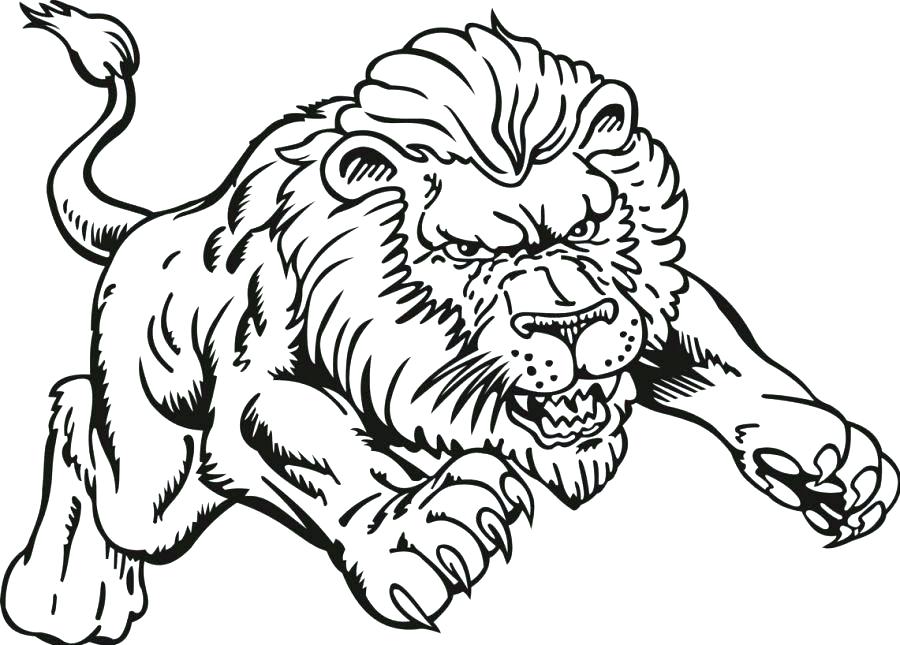 Coloring Pages Of A Lion Impair.co 900x645 Coloring Pages Of A Lion Impair.co