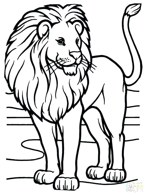 Lion Coloring Page 618x824 Lion Coloring Page