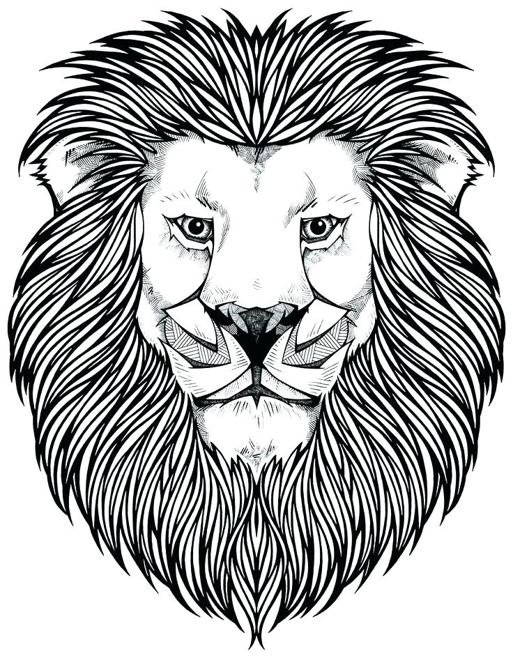 Coloring Pages Of A Lion Mountain Lion Coloring Pages Coloring 736x944 Coloring Pages Of A Lion Mountain Lion Coloring Pages Coloring
