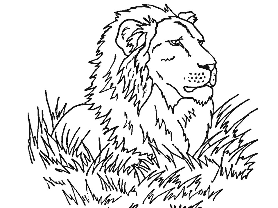 Free Printable Lion Coloring Pages For Kids Color Print 24831 957x716 Free Printable Lion Coloring Pages For Kids Color Print 24831