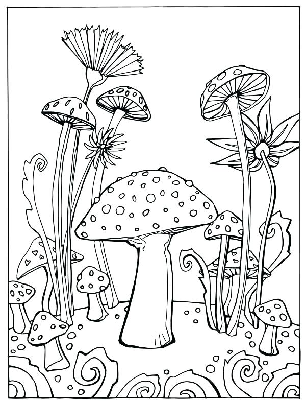 600x787 Mushroom Coloring Pages Coloring Books As Well As Coloring