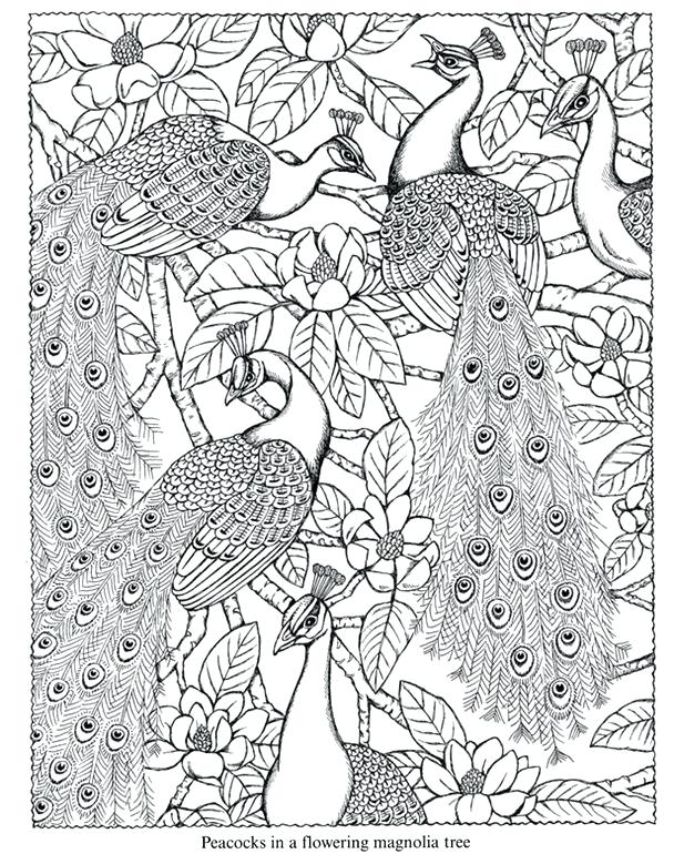 608x770 Peacock Coloring Pages To Print Nature Coloring Pages Coloring
