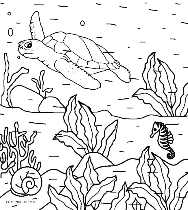 650x726 Simple Nature Coloring Pages Free Printable For Adults Murs