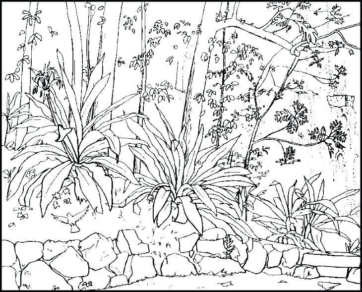 730x589 Nature Coloring Page 5 Senses Coloring Page Outdoor Coloring Pages