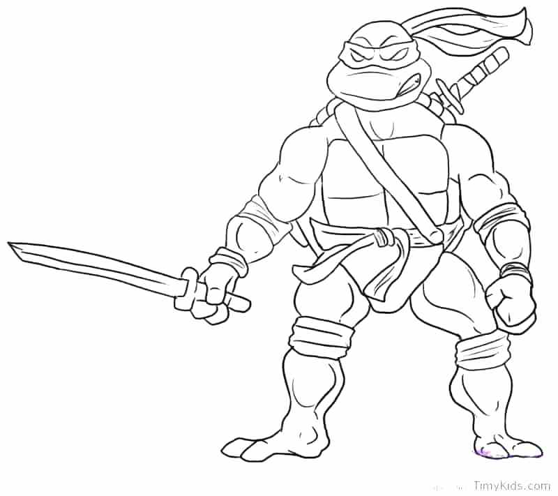 Turtle Coloring Pages Printable Free Printable Ninja Turtle 800x711 Turtle Coloring Pages Printable Free Printable Ninja Turtle