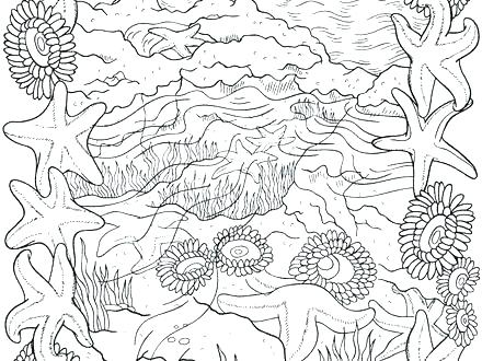 440x330 Free Printable Ocean Coloring Pages Free Printable Ocean Colouring