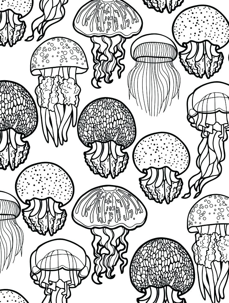 736x971 Ocean Coloring Sheet Habitat Background Ocean Coloring Pages