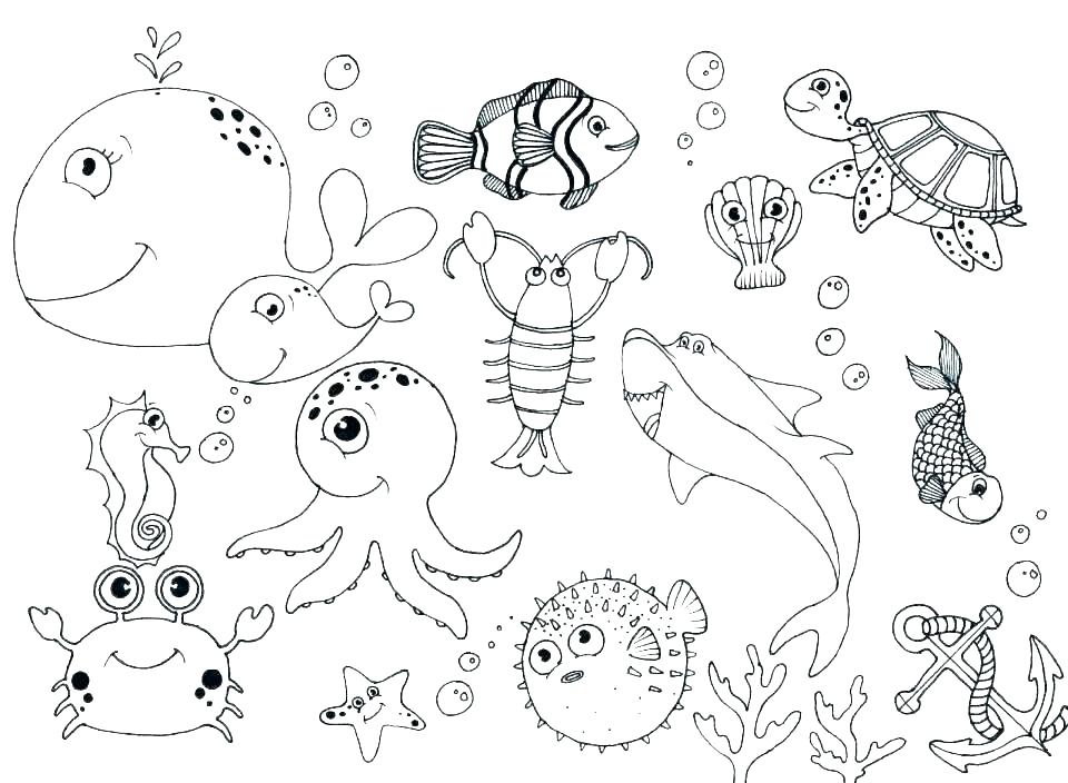 960x704 Coloring Pages Sea Animals Ocean Color Pages Ocean Animal Drawings