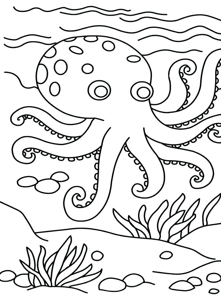 Colouring Pictures For Kids Free Printable Octopus Coloring Pages 720x960 Colouring Pictures For Kids Free Printable Octopus Coloring Pages