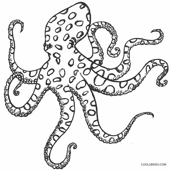 27 Images Of Octopus Coloring Template 600x600 27 Images Of Octopus Coloring Template