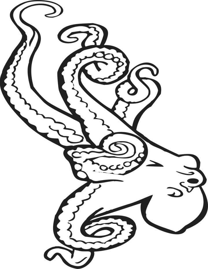 Octopus Coloring Page For Kids 720x932 Octopus Coloring Page For Kids