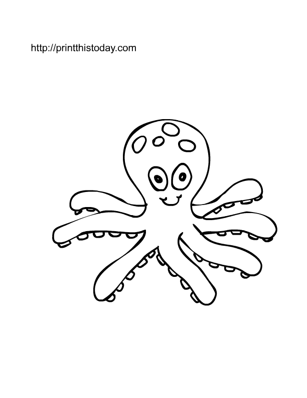 Octopus Pictures For Kids'0714 612x792 Octopus Pictures For Kids'0714
