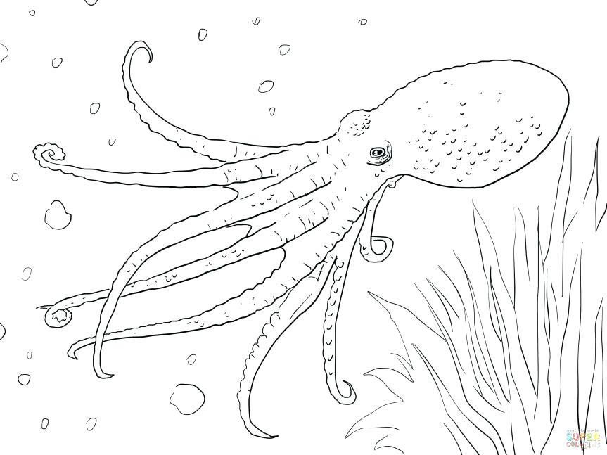 Oswald Coloring Pages Coloring Pages Octopus Musky Page Free 863x647 Oswald Coloring Pages Coloring Pages Octopus Musky Page Free