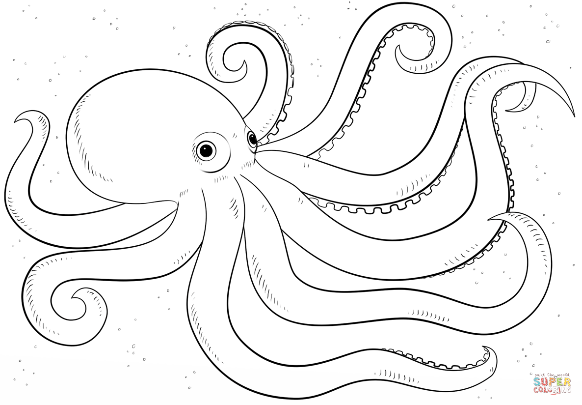 Popular Octopus Pictures To Colour Cartoon Coloring Page Free 1186x824 Popular Octopus Pictures To Colour Cartoon Coloring Page Free