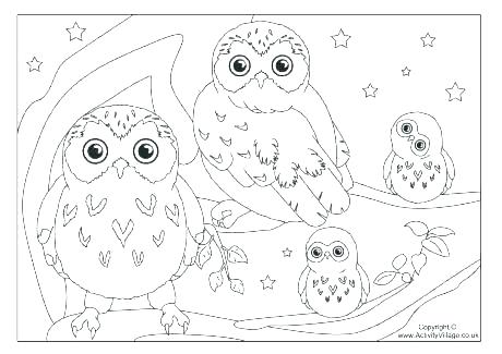 460x325 Owl Printable Coloring Pages Owl Printable Coloring Pages Coloring
