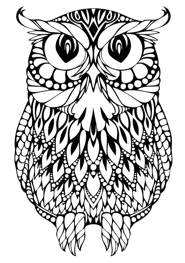 624x883 Owl Coloring Pages For Adults