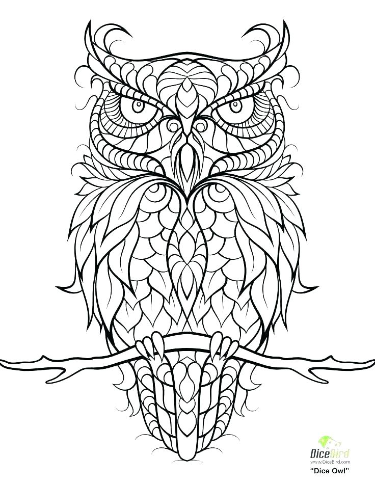 736x952 Printable Owl Coloring Pages