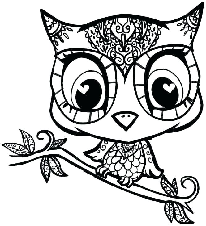 666x732 Free Download Printable Coloring Pages Free Printable Owl Coloring