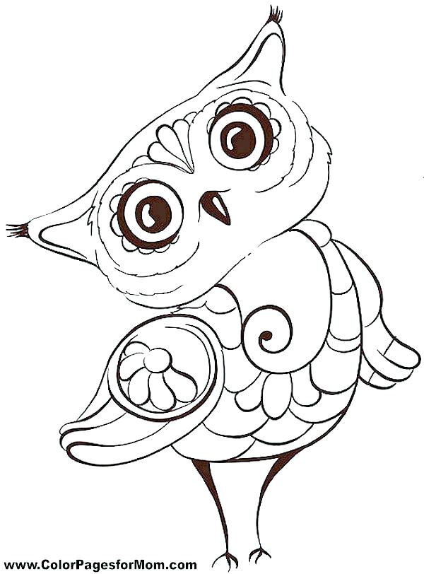 600x812 Owl Coloring Pages To Print Owl Printable Coloring Pages And Baby