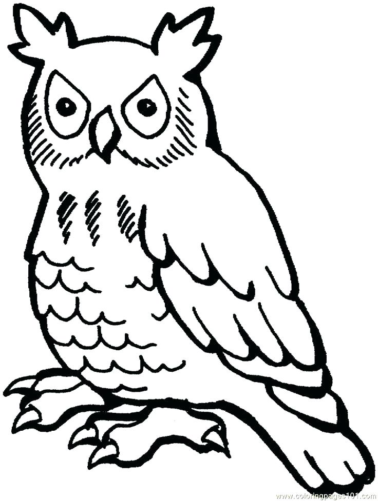 736x977 Printable Owl Coloring Pages Great Horned Owl Coloring Page Free