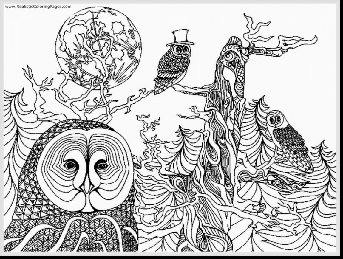 1150x869 Awesome Fantastic Printable Owl Coloring Pages Adult With Free