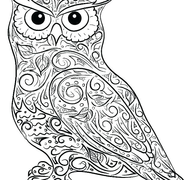 621x600 Free Printable Coloring Pages Of Owls Owl Coloring Pages Free