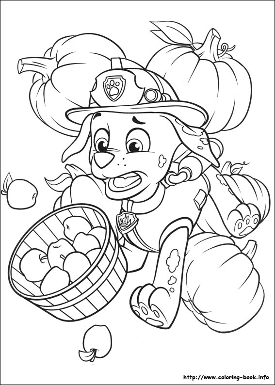 Paw Patrol Coloring Pages On Coloring 567x794 Paw Patrol Coloring Pages On Coloring