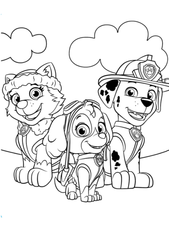 Skye Coloring Pages 339x480 Skye Coloring Pages