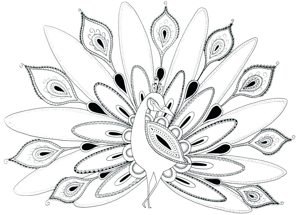 New Hard Coloring Pages For Kids Or Coloring Pages Of Peacocks 1024x725 New Hard Coloring Pages For Kids Or Coloring Pages Of Peacocks