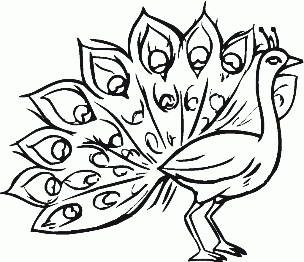 Peacock Coloring Page Lovely Free Printable Peacock Coloring Pages 1024x882 Peacock Coloring Page Lovely Free Printable Peacock Coloring Pages