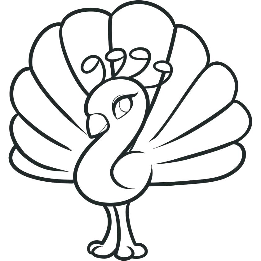 Peacock Coloring Pages Peacock Colouring Pages Free Printable 842x842 Peacock Coloring Pages Peacock Colouring Pages Free Printable