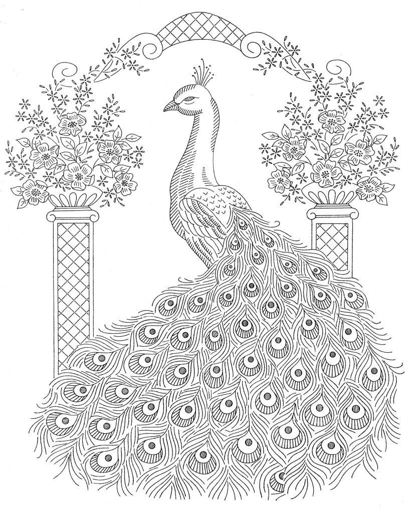 Peacock Coloring Pages Zuckett 830x1024 Peacock Coloring Pages Zuckett