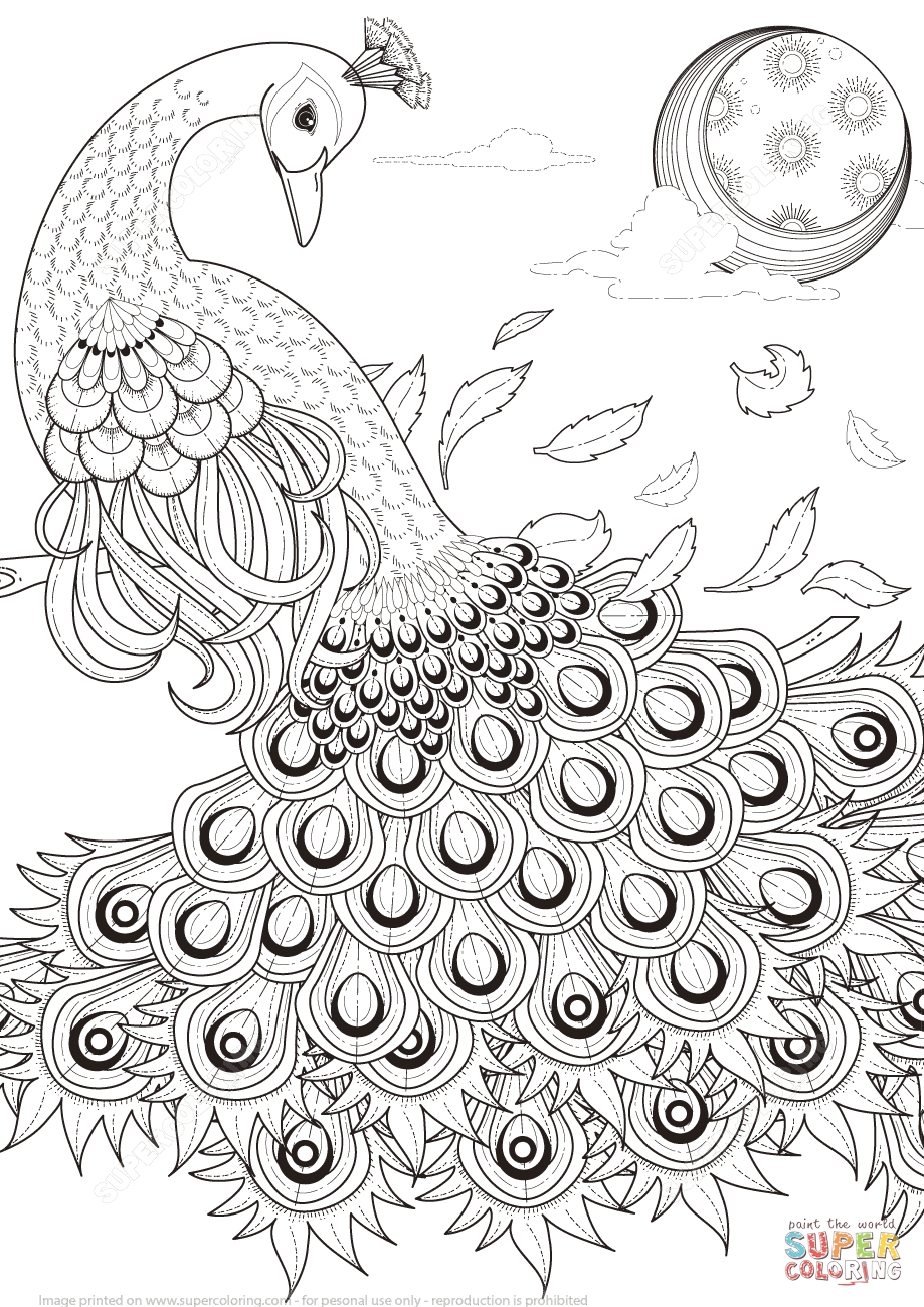 Printable Peacock Coloring Page 9050 Free Coloring Pages Download 919x1300 Printable Peacock Coloring Page 9050 Free Coloring Pages Download